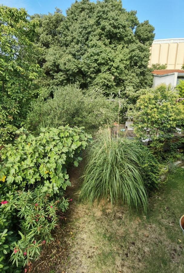 Pine And Lime Apartments Πούλα Εξωτερικό φωτογραφία